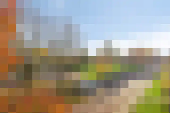 Kemphaanplein 23 Velp thumbnail 29