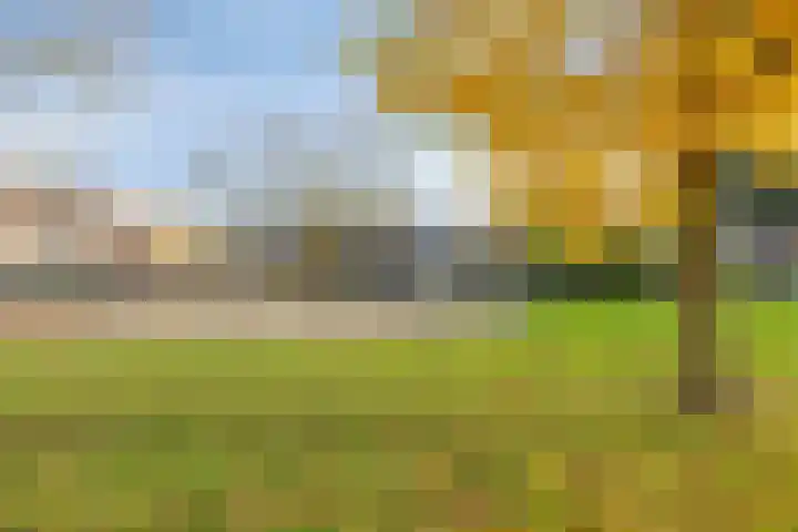 Kemphaanplein 23 Velp thumbnail 30