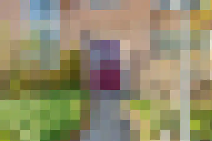 Kemphaanplein 23 Velp thumbnail 5