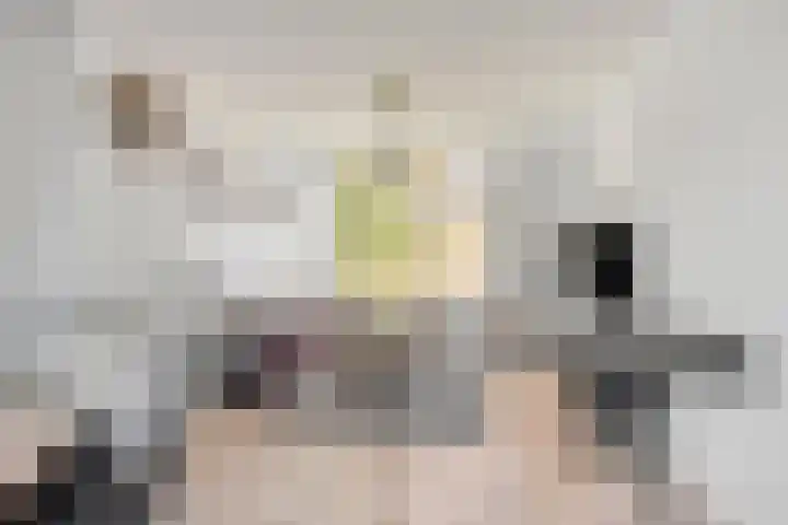 Kemphaanplein 23 Velp thumbnail 8