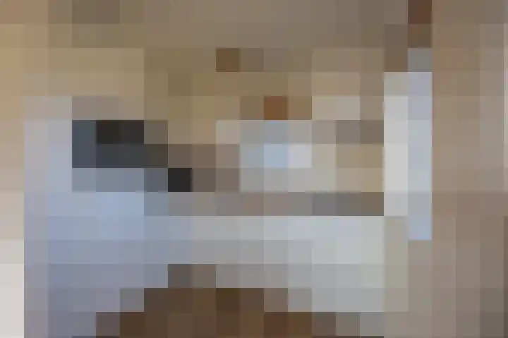 Kemphaansduin 203 Ballum thumbnail 10
