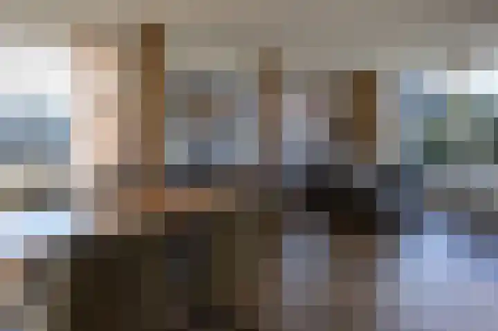 Kemphaansduin 203 Ballum thumbnail 13