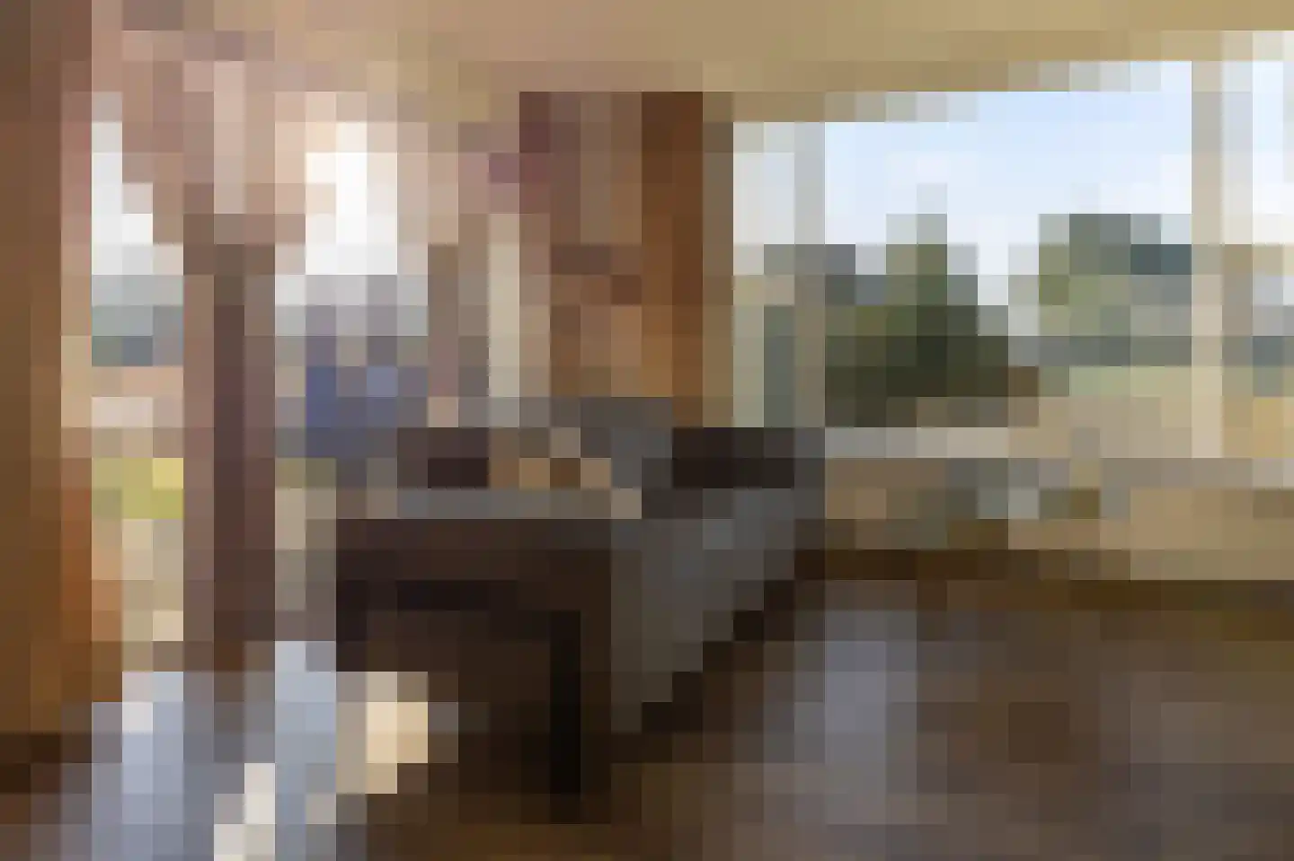 Kemphaansduin 203 Ballum thumbnail 17