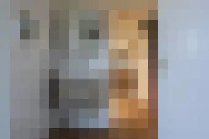 Kemphaansduin 203 Ballum thumbnail 18