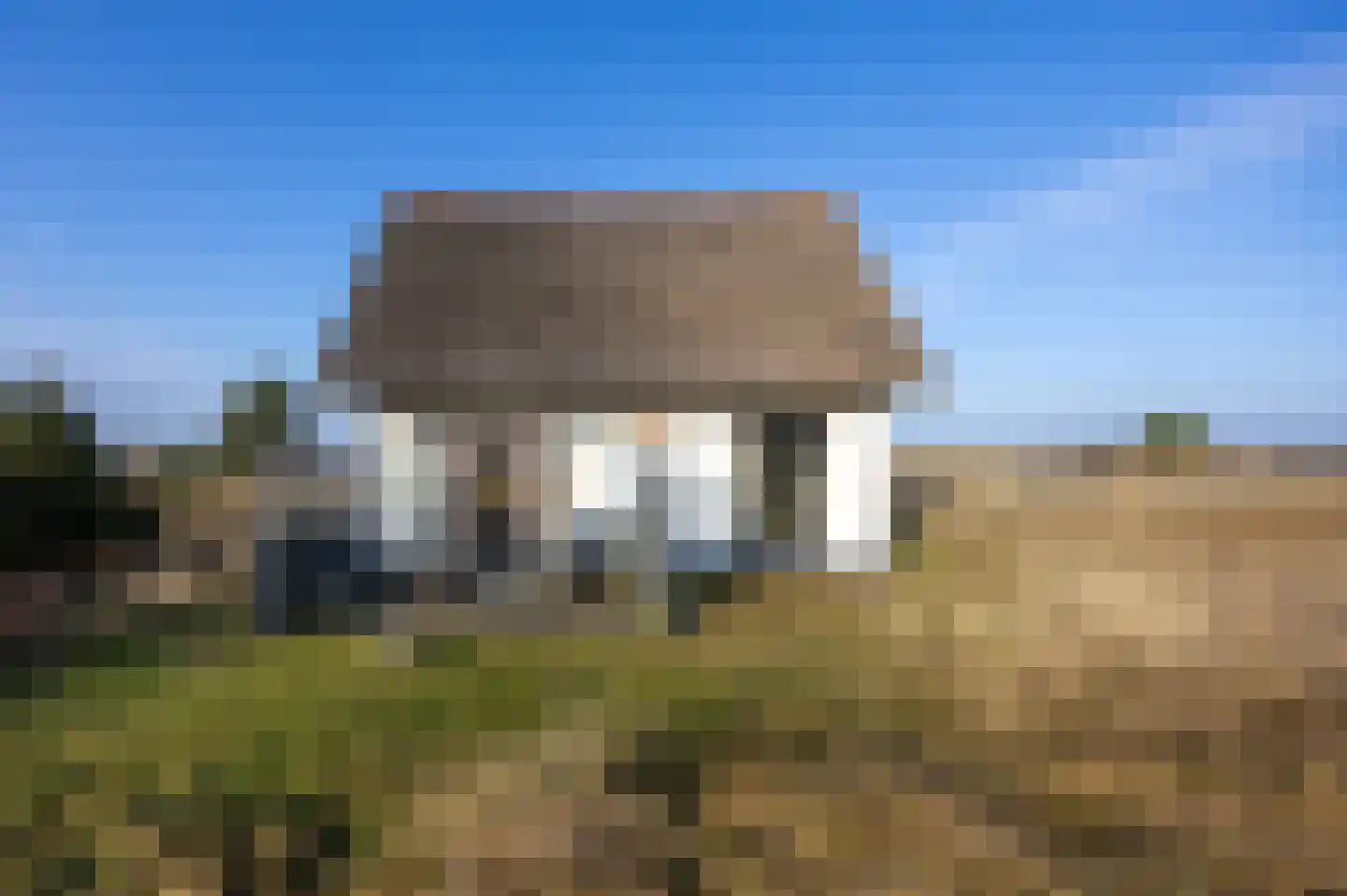 Kemphaansduin 203 Ballum thumbnail 27