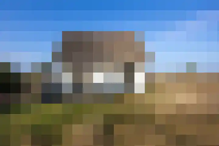 Kemphaansduin 203 Ballum thumbnail 27