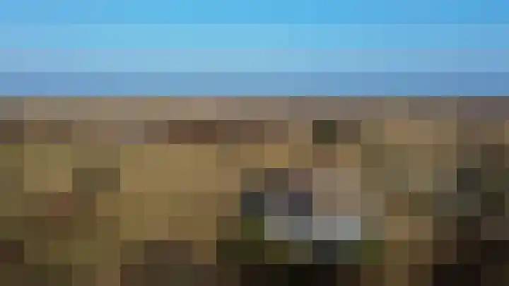 Kemphaansduin 203 Ballum thumbnail 4