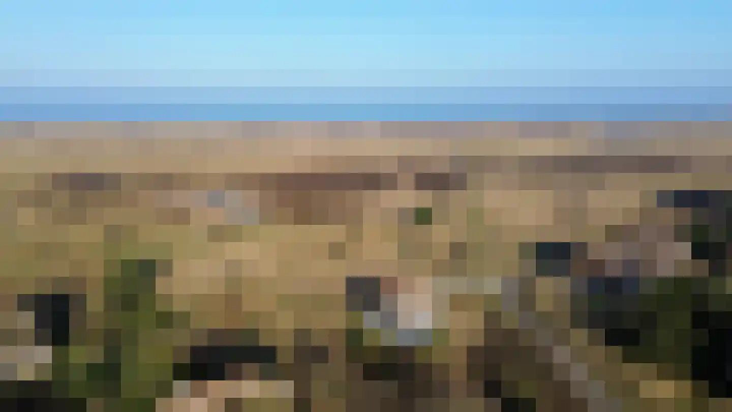 Kemphaansduin 203 Ballum thumbnail 5