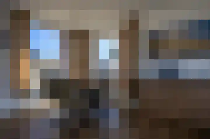 Kemphaansduin 203 Ballum thumbnail 8