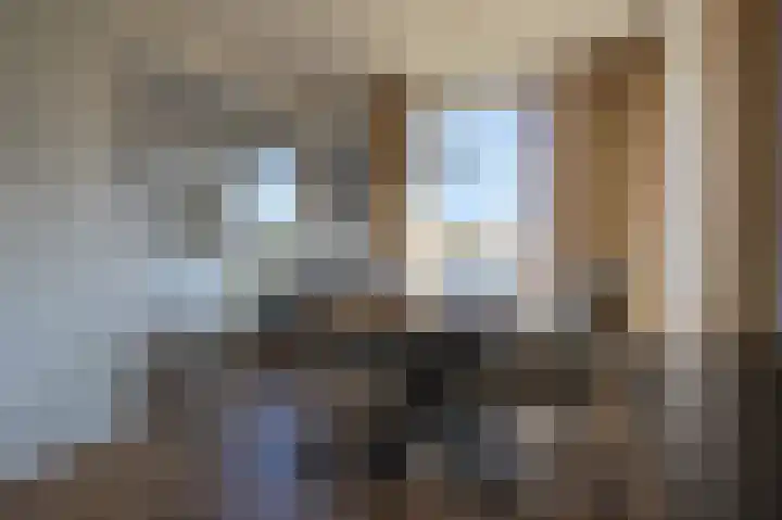 Kemphaansduin 203 Ballum thumbnail 9
