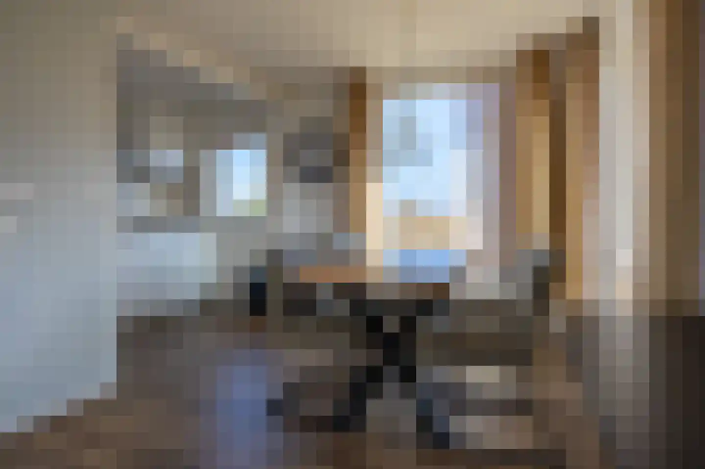 Kemphaansduin 203 Ballum thumbnail 9