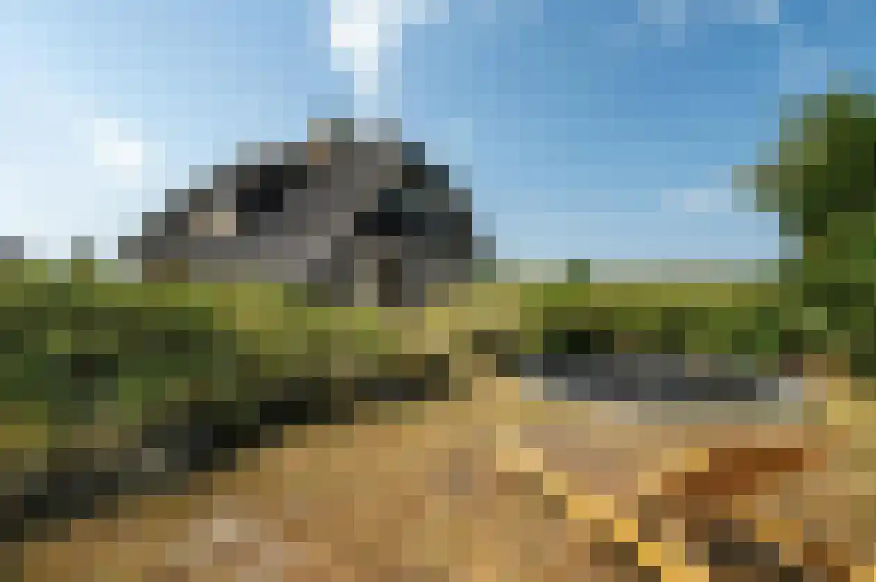 Kemphaansduin 206 Ballum thumbnail 14