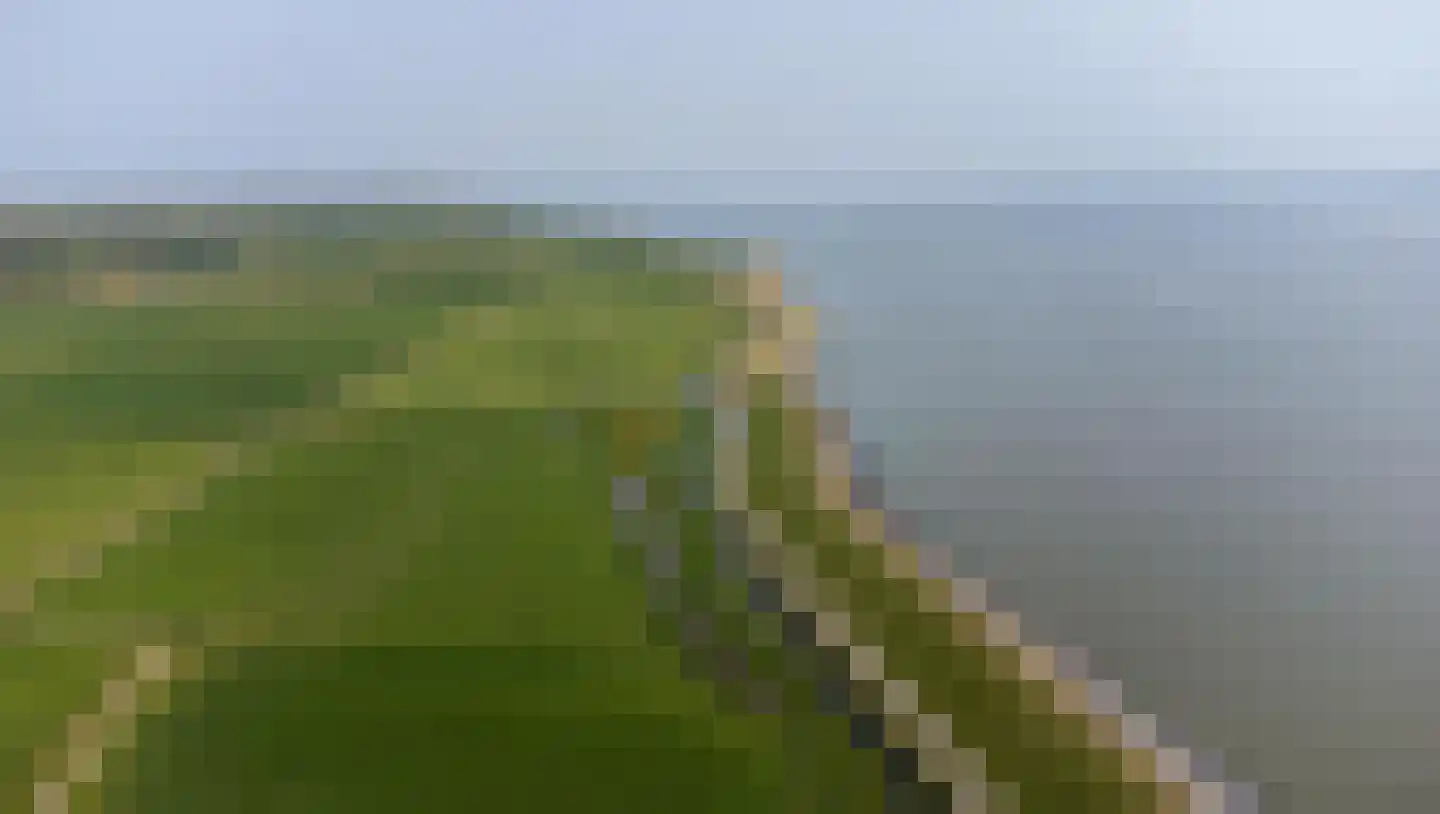 Kemphaansduin 206 Ballum thumbnail 17