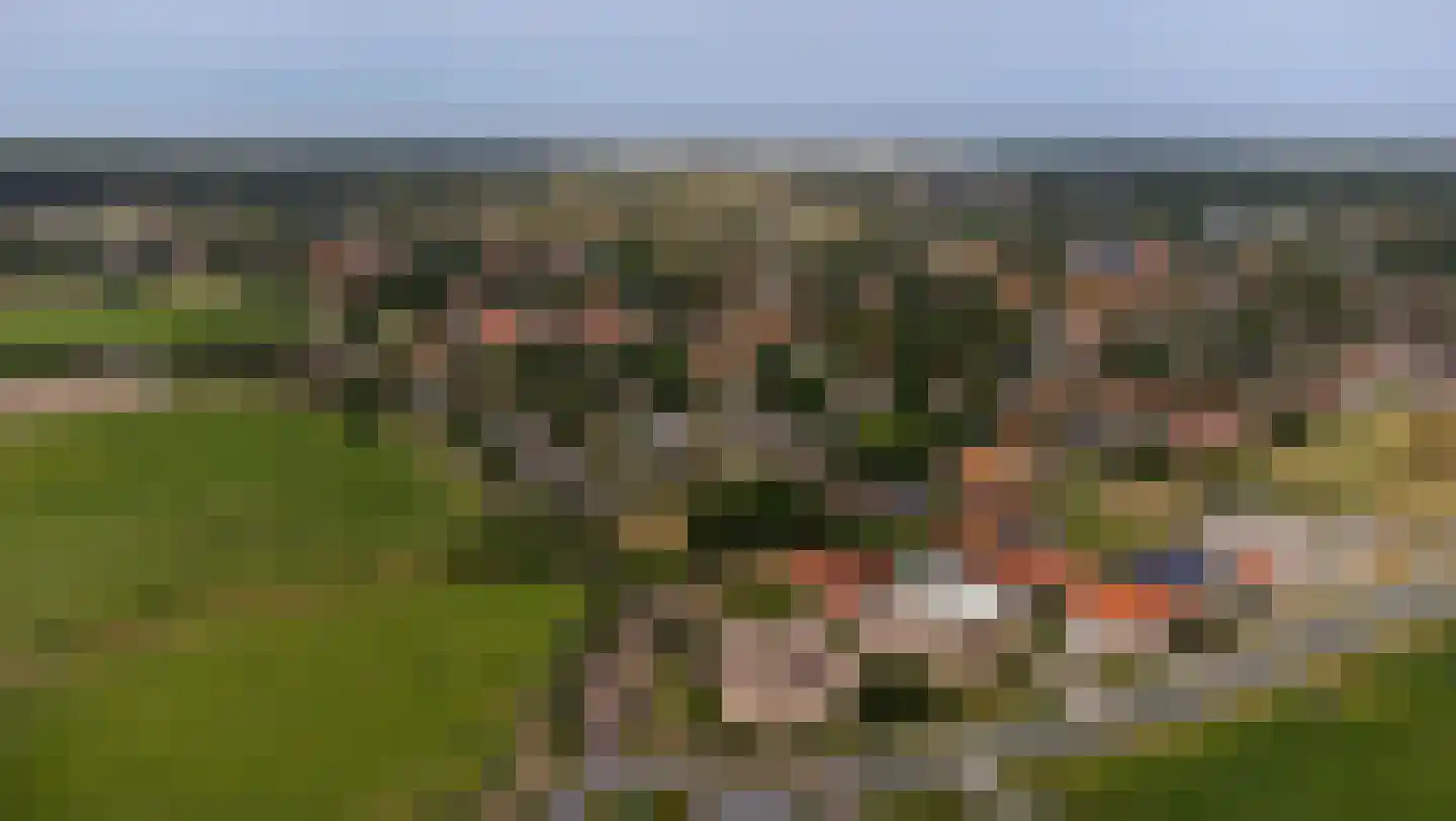 Kemphaansduin 206 Ballum thumbnail 18