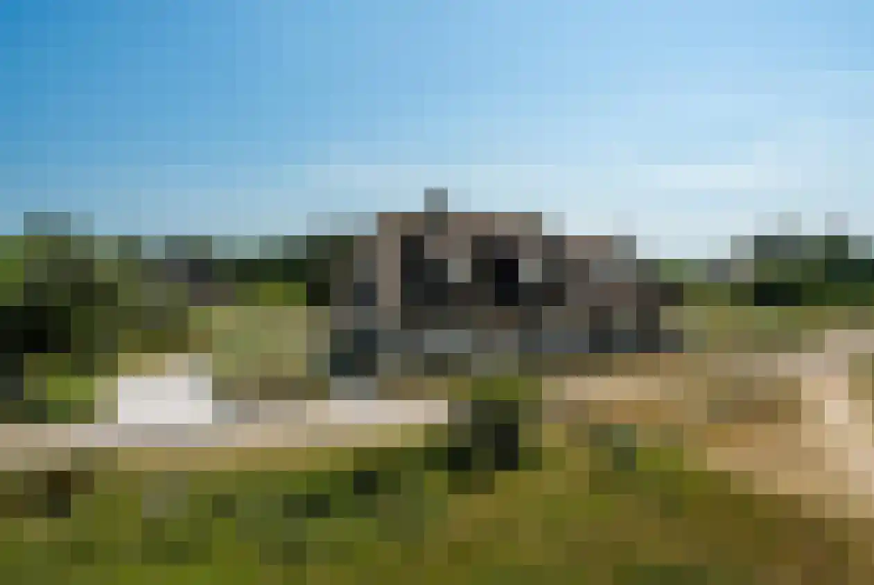 Kemphaansduin 206 Ballum thumbnail 4
