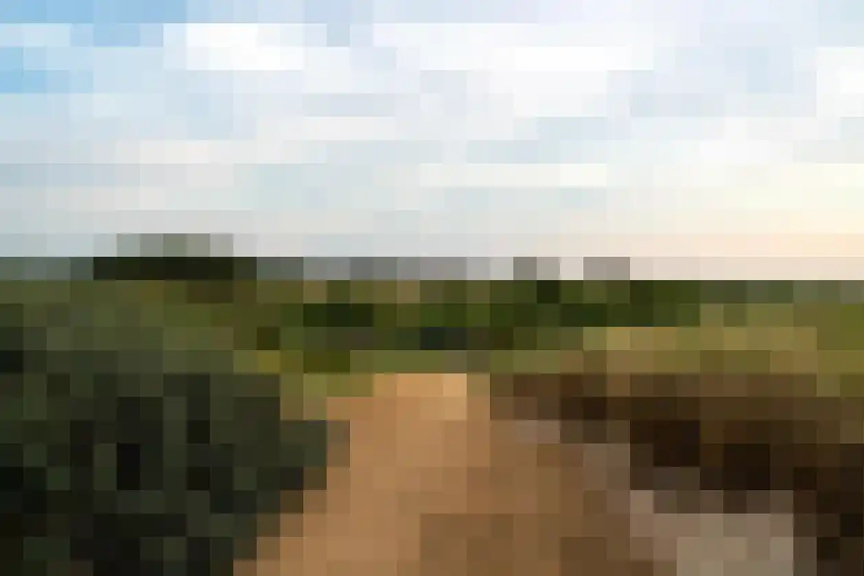 Kemphaansduin 206 Ballum thumbnail 40