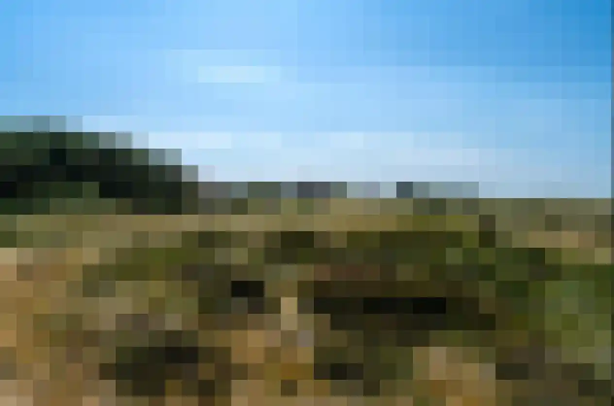 Kemphaansduin 206 Ballum thumbnail 41