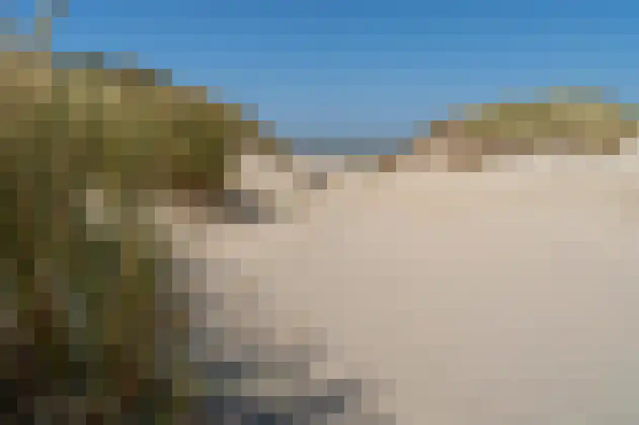 Kemphaansduin 206 Ballum thumbnail 42