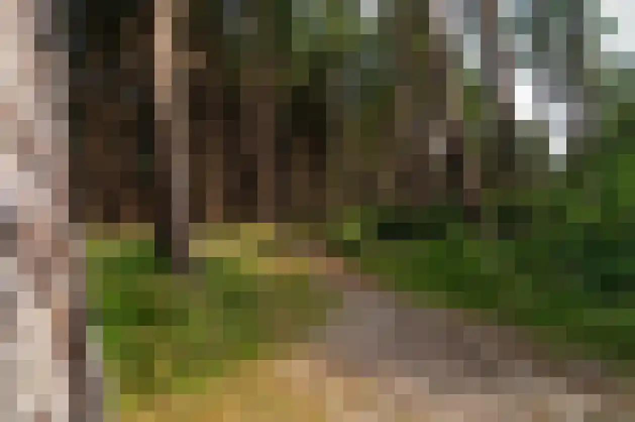 Kemphaansduin 206 Ballum thumbnail 43