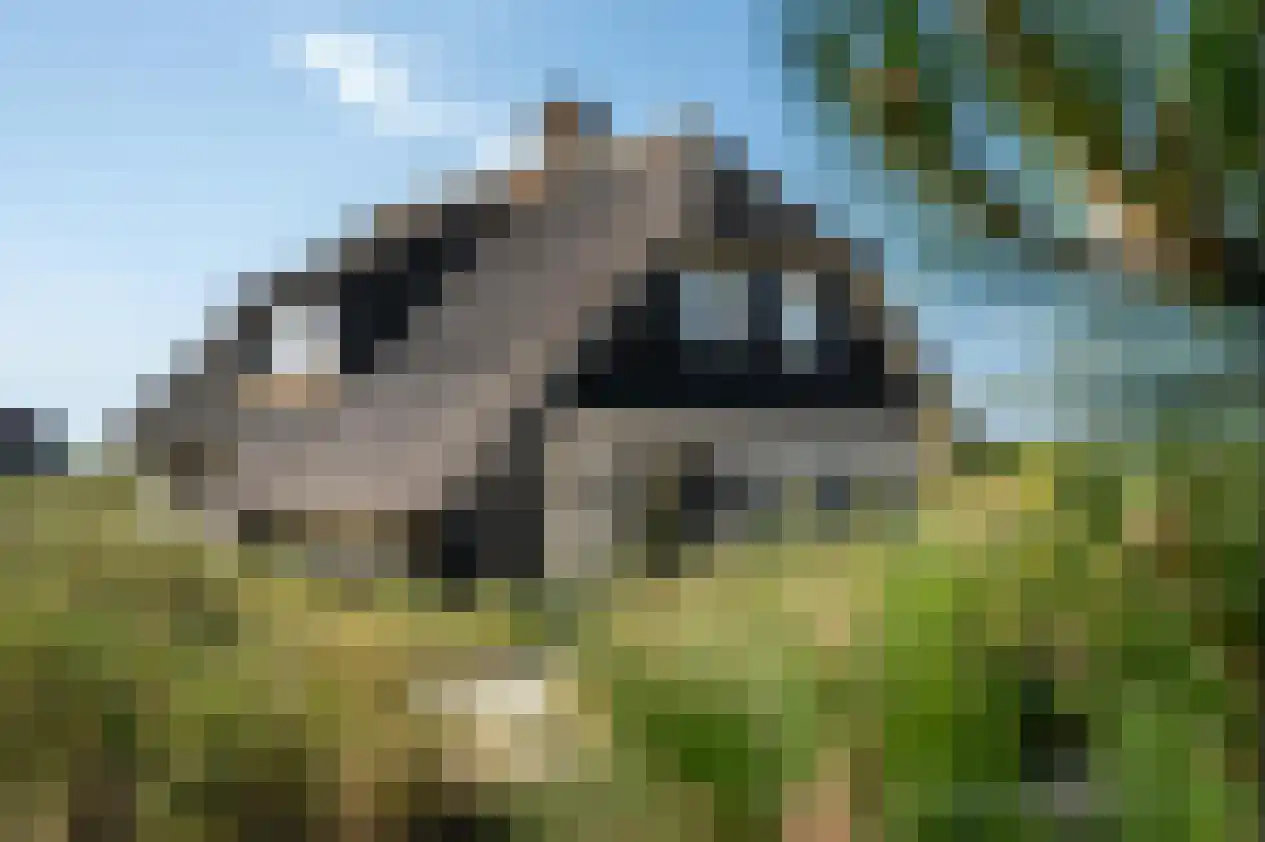 Kemphaansduin 206 Ballum thumbnail 5