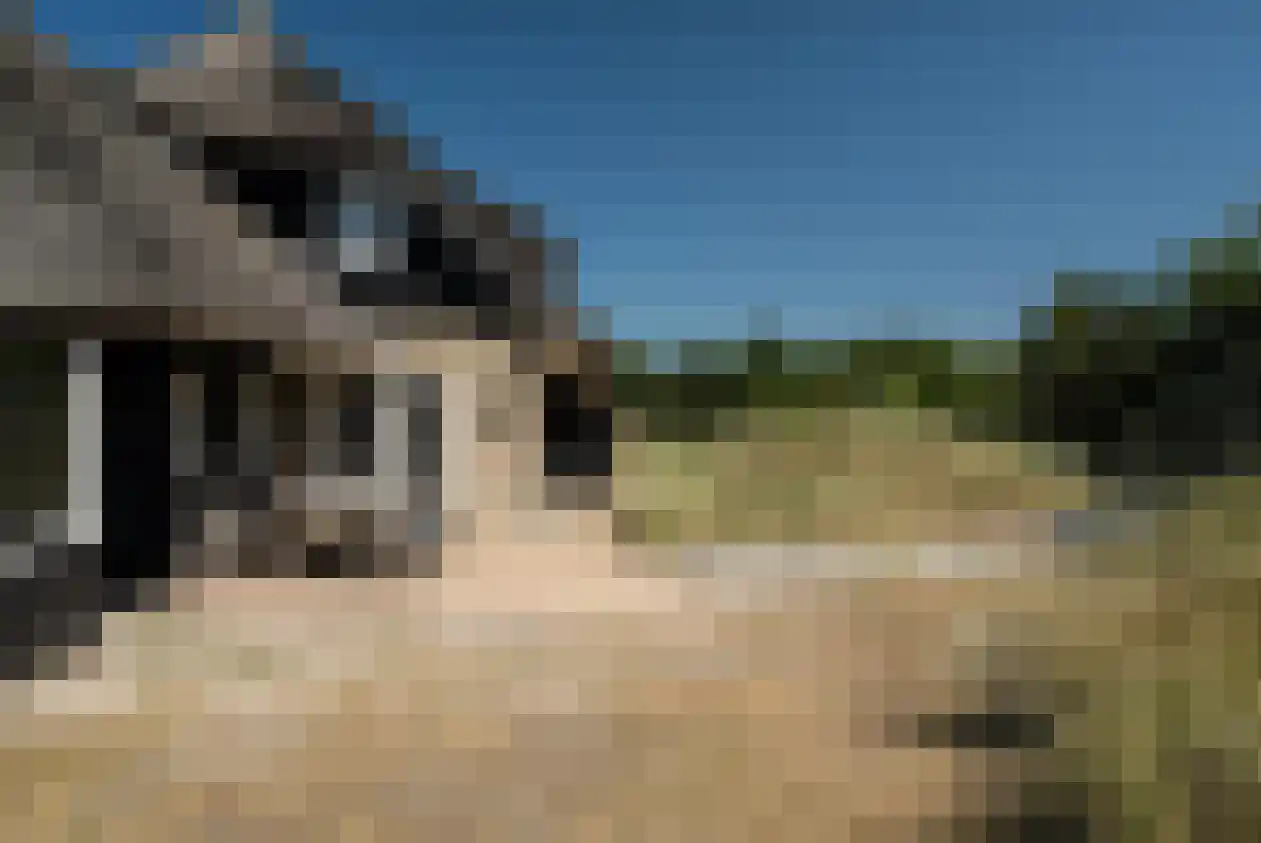Kemphaansduin 206 Ballum thumbnail 7