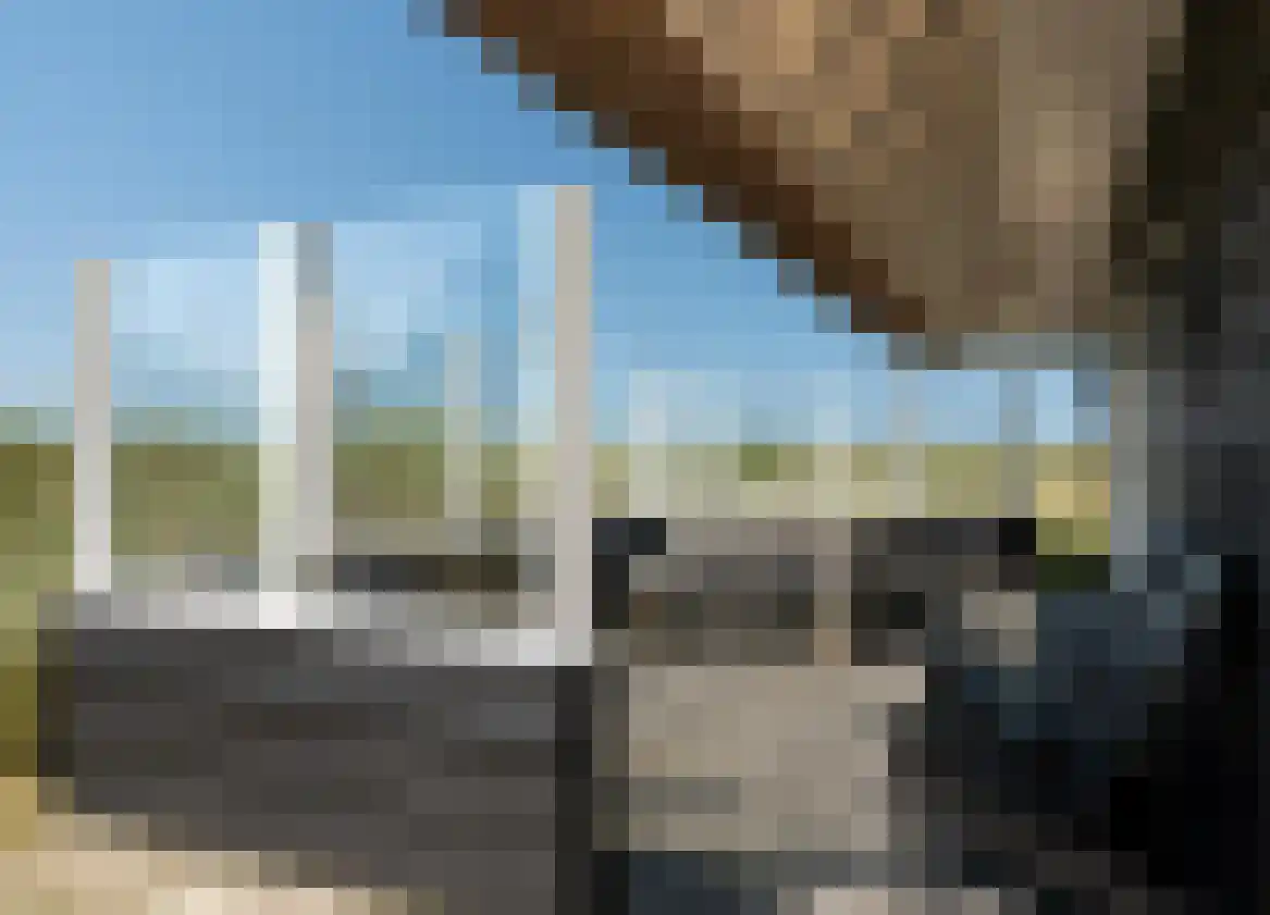Kemphaansduin 206 Ballum thumbnail 8