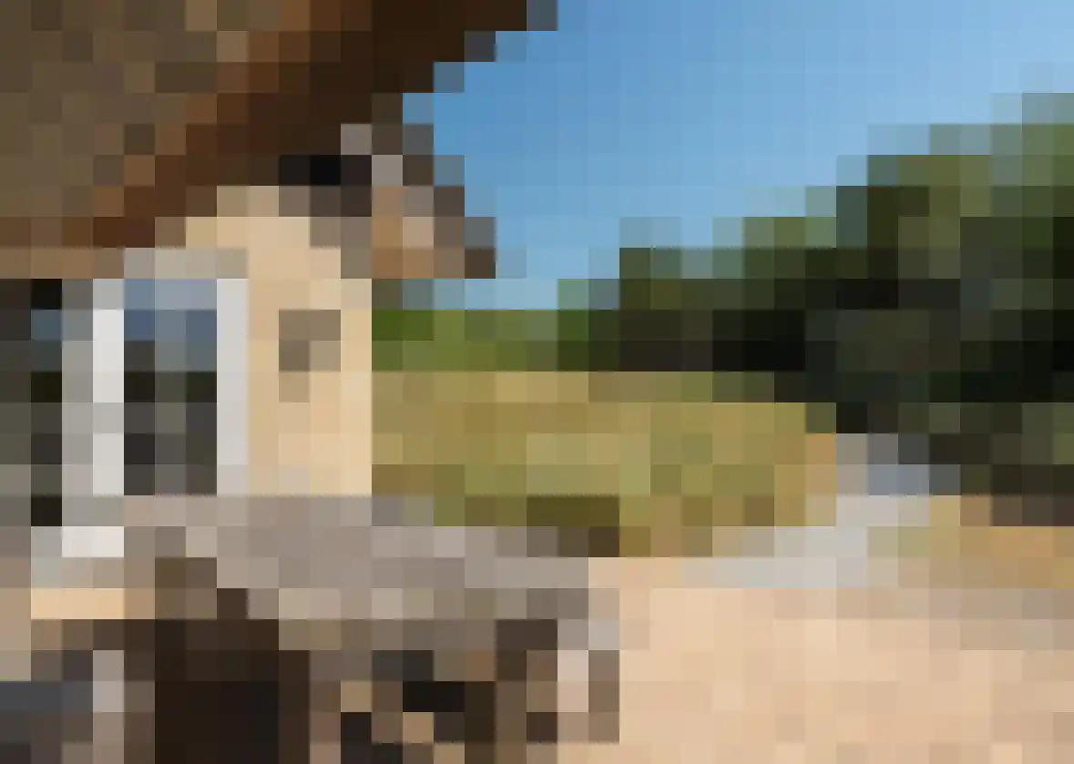 Kemphaansduin 206 Ballum thumbnail 9