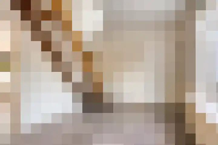 Kemphaanstraat 10 Heerenveen thumbnail 4