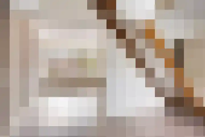 Kemphaanstraat 10 Heerenveen thumbnail 7
