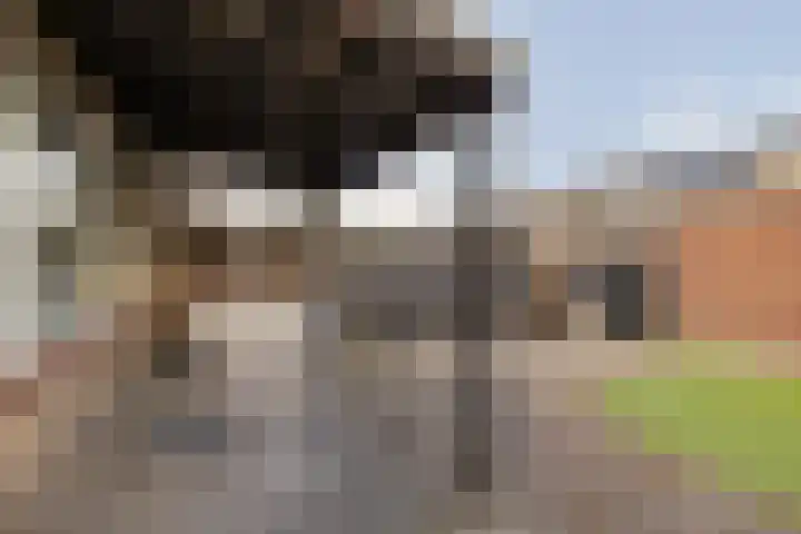 Kemphaanstraat 11 Heerenveen thumbnail 26