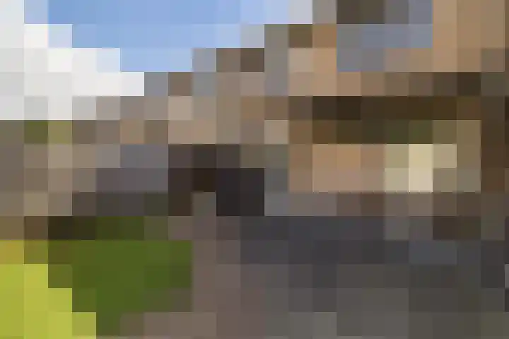 Kemphaanstraat 11 Heerenveen thumbnail 5