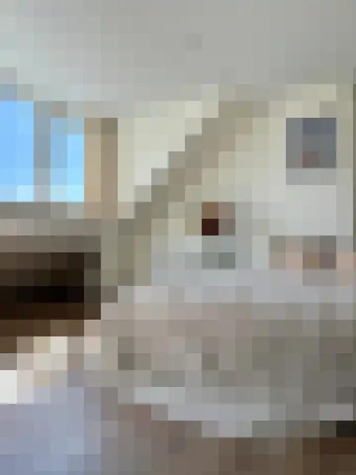 Kemphaanstraat 119 Wormer thumbnail 22