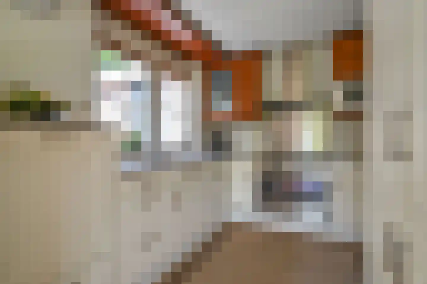 Kemphaanstraat 12 Putten thumbnail 11