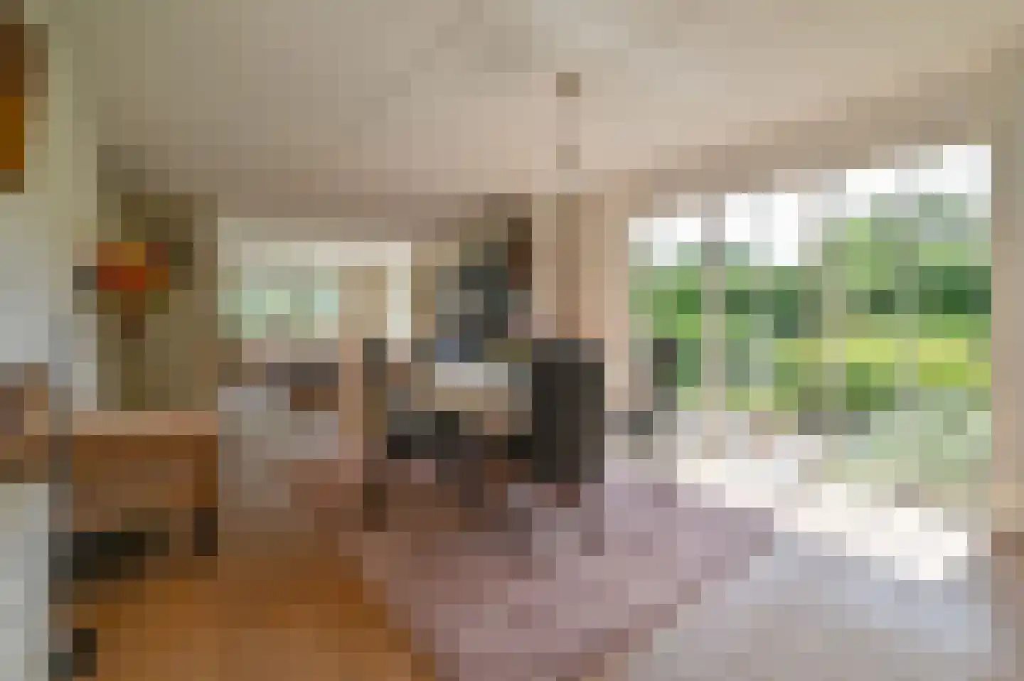 Kemphaanstraat 12 Putten thumbnail 8