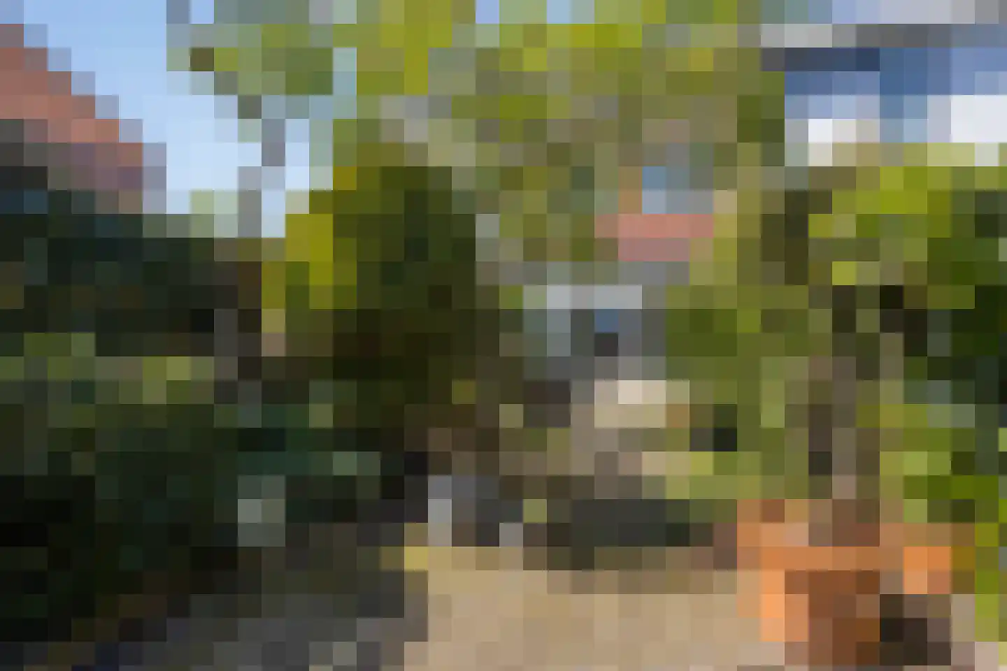 Kemphaanstraat 17 Uitgeest thumbnail 32