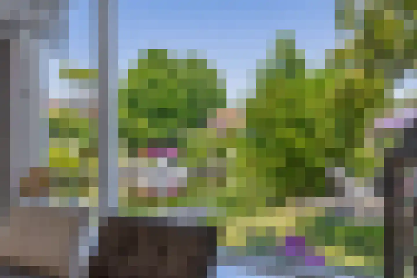 Kemphaanstraat 19 Wormer thumbnail 13