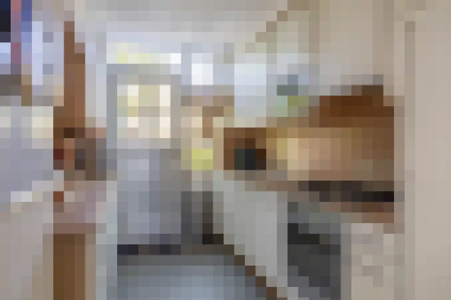 Kemphaanstraat 19 Wormer thumbnail 14