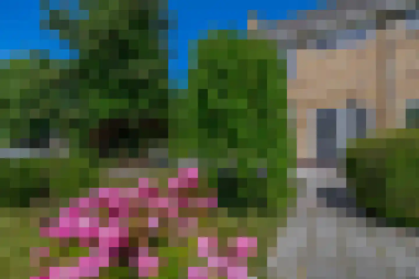 Kemphaanstraat 19 Wormer thumbnail 8