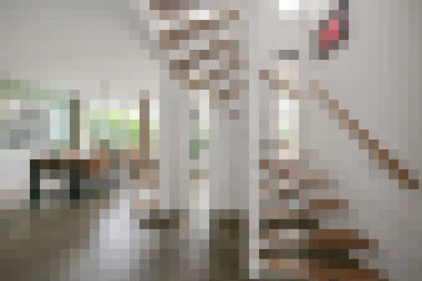 Kemphaanstraat 2 Uitgeest thumbnail 19