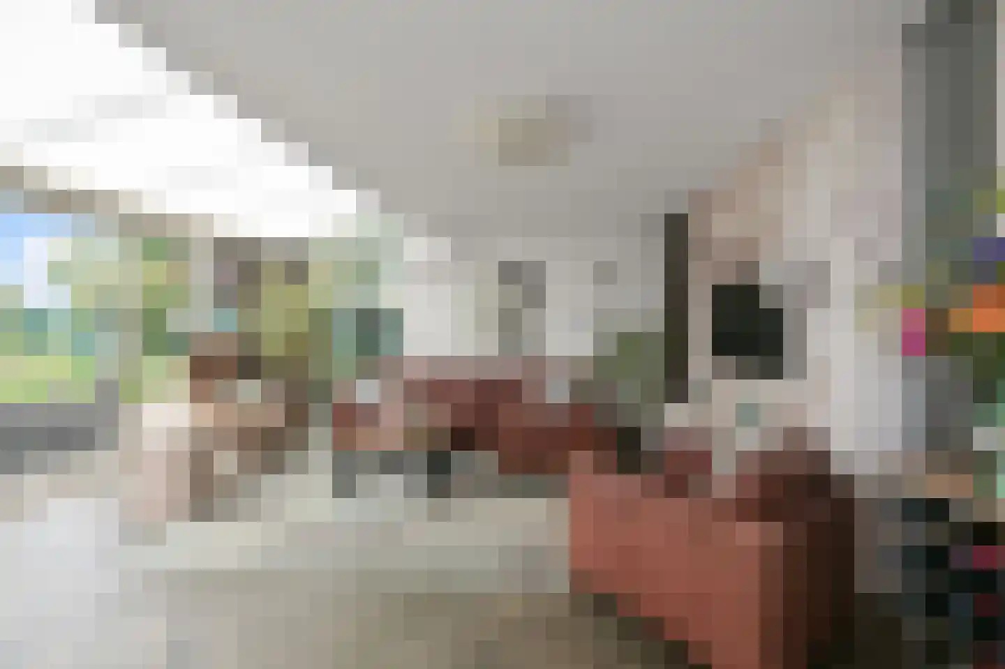 Kemphaanstraat 2 Uitgeest thumbnail 22