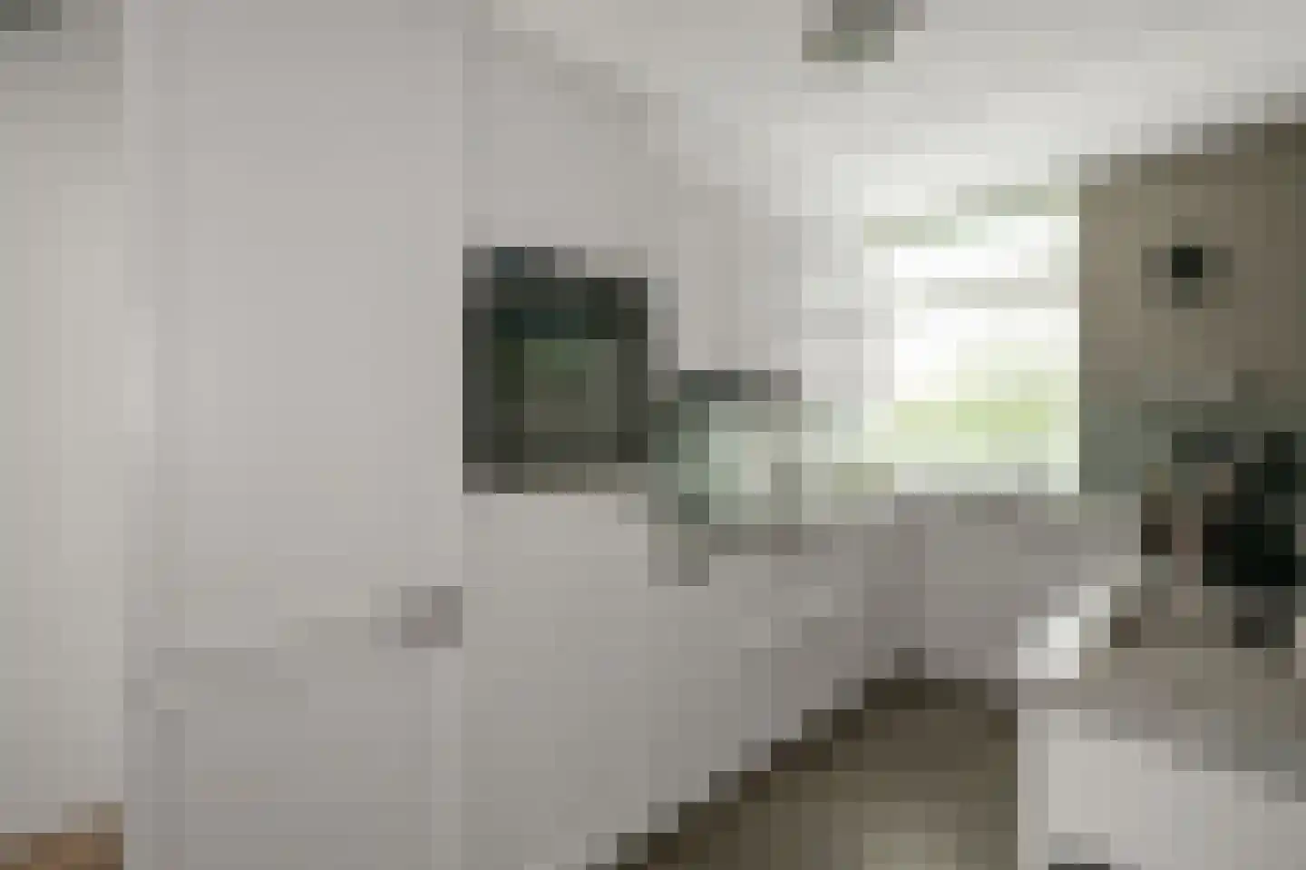 Kemphaanstraat 2 Uitgeest thumbnail 38