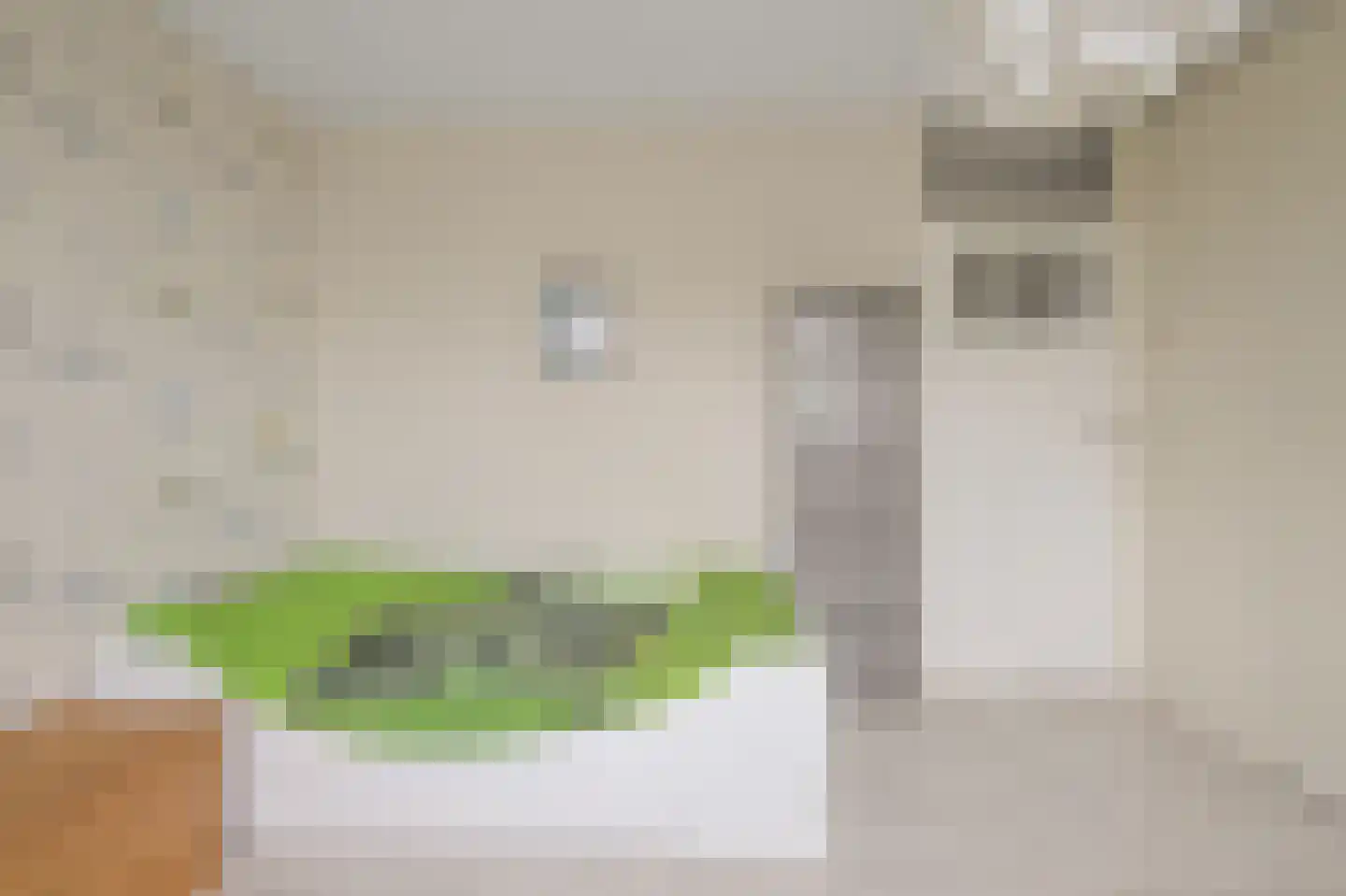 Kemphaanstraat 2 Uitgeest thumbnail 51