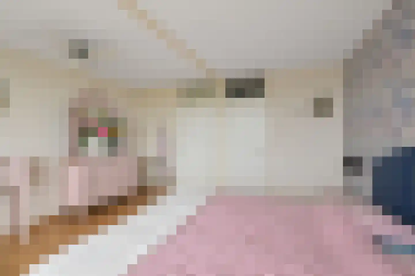 Kemphaanstraat 2 Uitgeest thumbnail 54