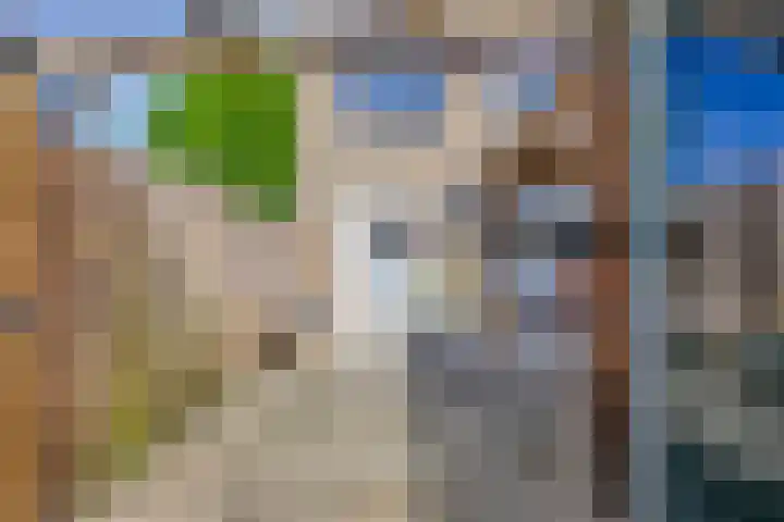 Kemphaanstraat 28 Heerenveen thumbnail 33