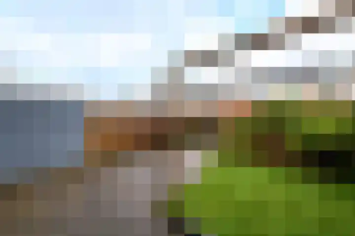 Kemphaanstraat 31 Heerenveen thumbnail 31