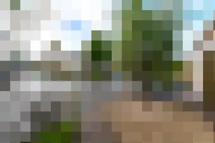 Kemphaanstraat 31 Heerenveen thumbnail 35