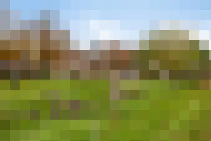 Kemphaanstraat 41 Heerenveen thumbnail 31