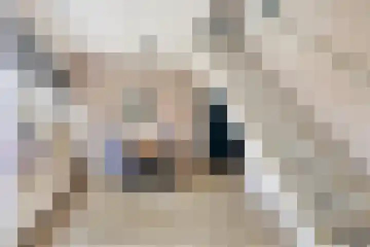 Kemphaanstraat 41 Heerenveen thumbnail 6