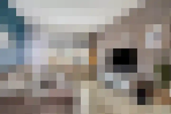 Kemphaanstraat 41 Heerenveen thumbnail 9