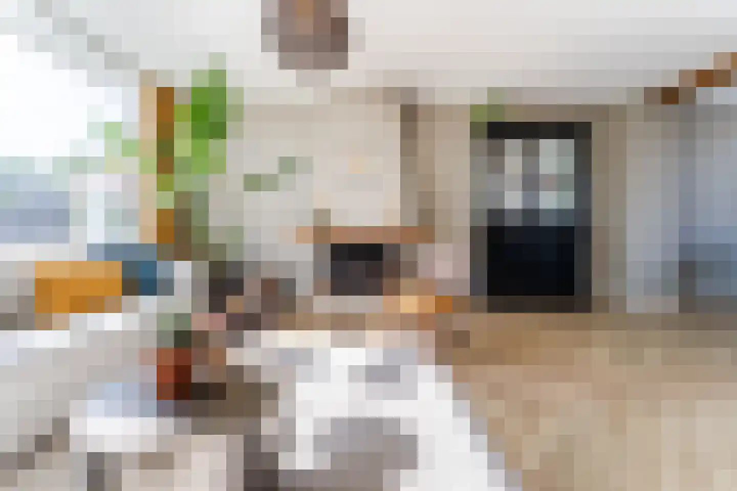 Kemphaanstraat 44 Wormer thumbnail 11